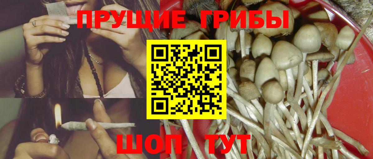 Ухта  Псилоцибиновые грибы GOLDEN TEACHER  Галлюциногенные грибы Magic Shrooms  как найти закладки  Вход с VPN 